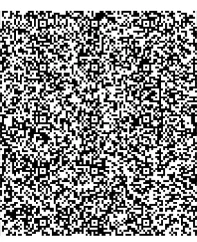 滨州西区小姐姐