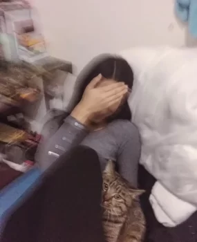 杭州市区乖巧服务型MM